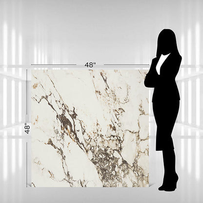 Panoramic Duet Calacatta Aries Square 48X48 Matte