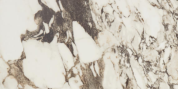 Panoramic Duet Calacatta Aries Square 48X48 Matte