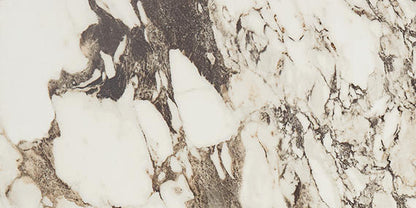 Panoramic Duet Calacatta Aries Square 48X48 Matte