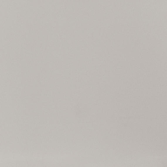 Neospeck Light Gray Rectangle 12X24 Matte