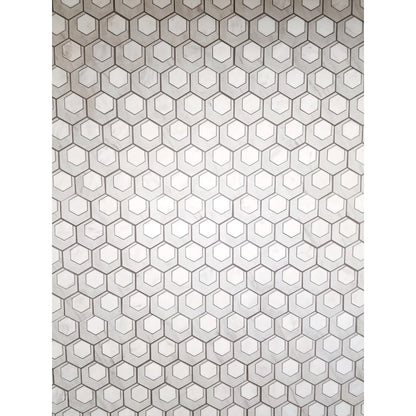 CATALYST HYDROGEN MOS 13X14
