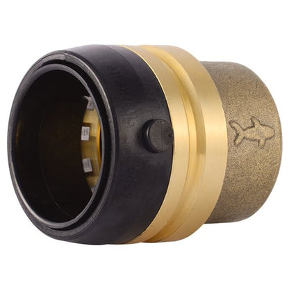 Cap, 1-1/4 in, Push, Brass