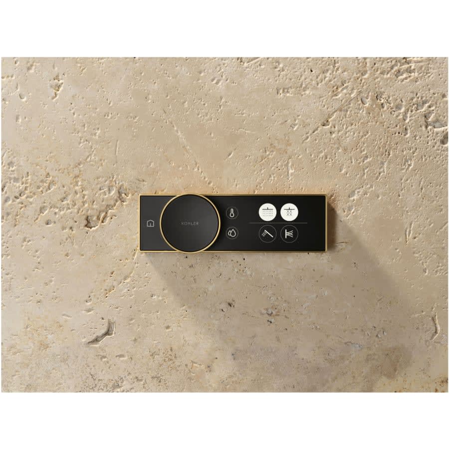 Anthem Programmable Digital Shower Controller