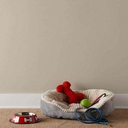 KILZ Original 5 Gal. White Oil-Based Interior Sealer, Primer, and Stain Blocker