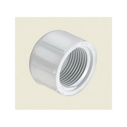Cap, 1 in, FNPT, SCH 40/STD, PVC
