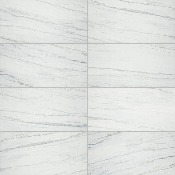 Platinum Oyster Rectangle 12X24 Matte