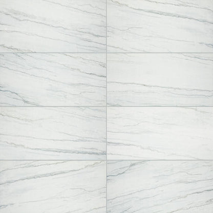 Platinum Oyster Rectangle 12X24 Matte