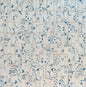 Rice Natural Deco Leaf Rectangle 2X6 Glossy