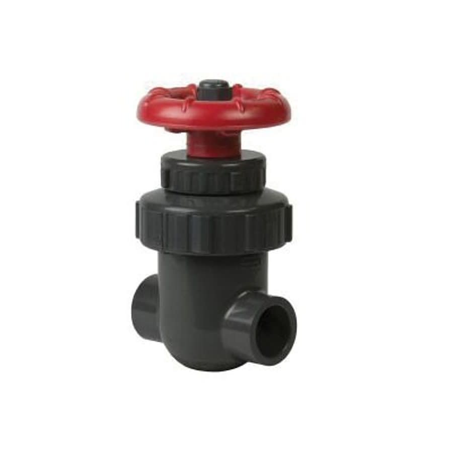 2012 Non-Rising Stem Gate Valve, 3/4 in, Socket, PVC
