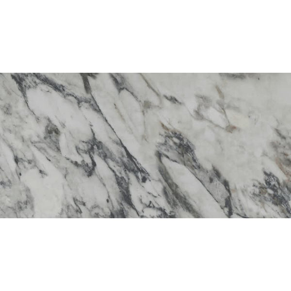 PARKVIEW ASTRAL MT 12X24 (Discontinued)