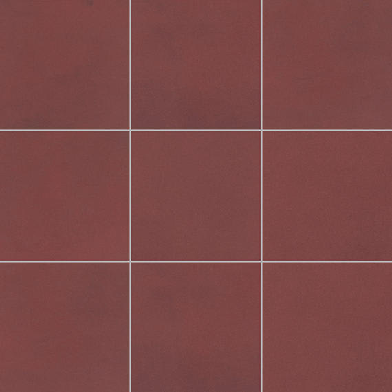 Color Story Floor Matte Passion Rectangle 12X24 Matte