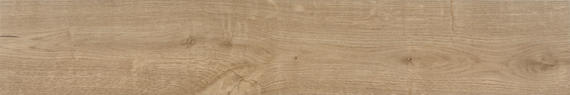 Platinum Cavalry Rectangle 8X48 Matte