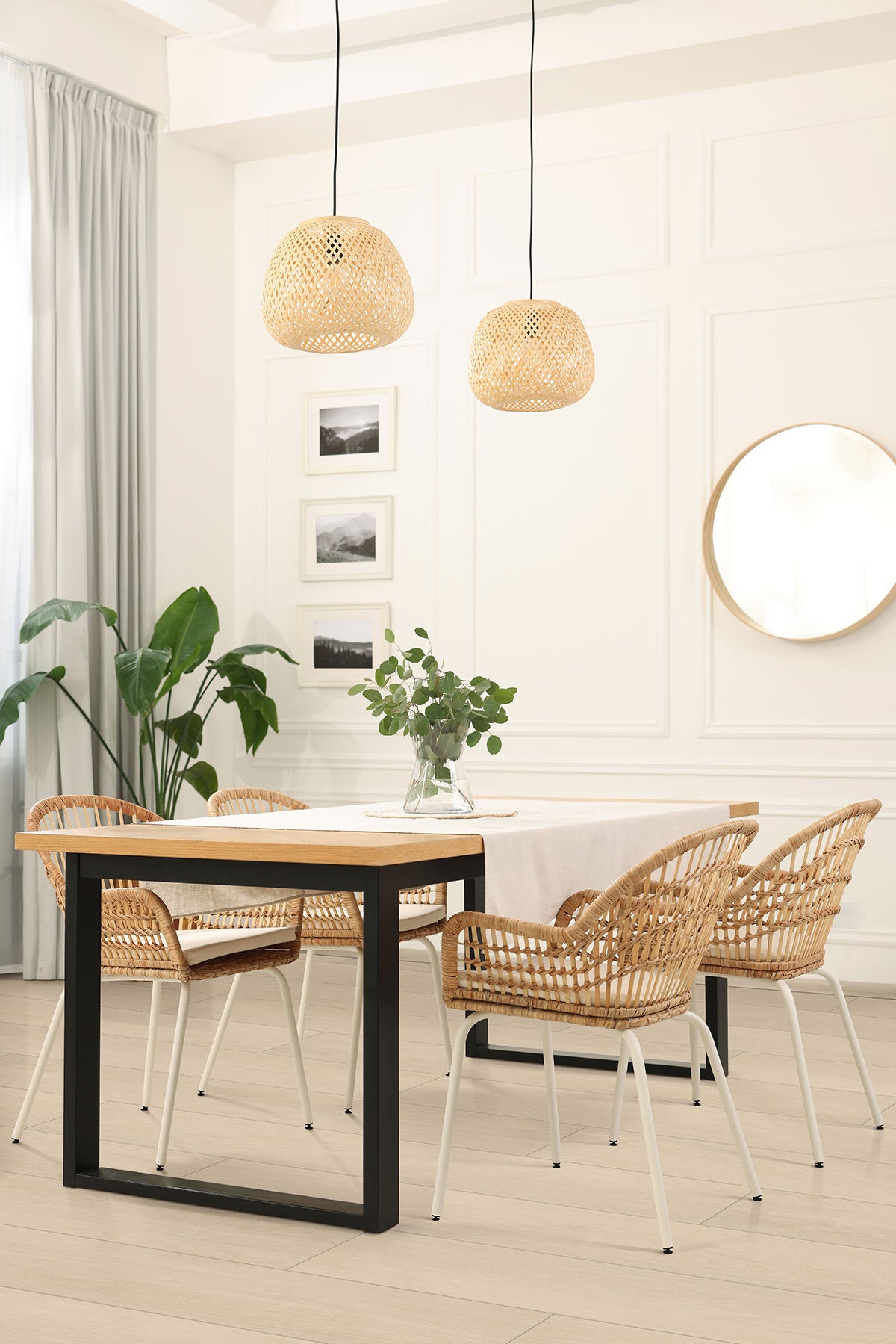 Placero Maple