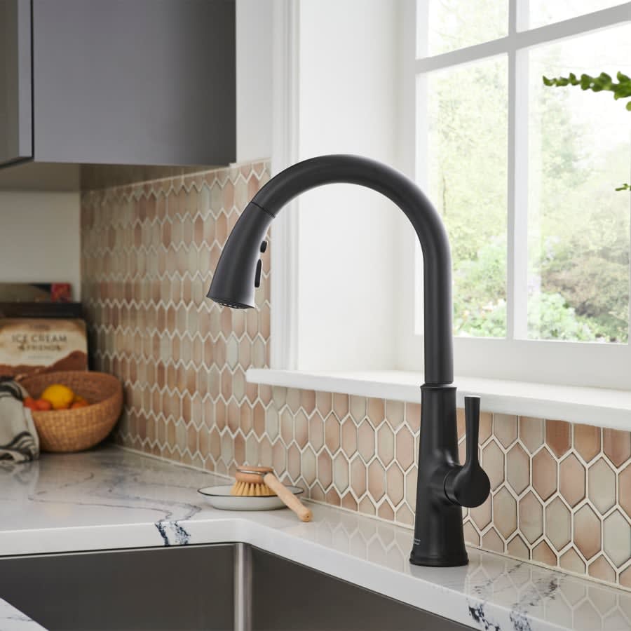 Renate 1.5 GPM Single Hole Pull Down Kitchen Faucet - Includes Escutcheon