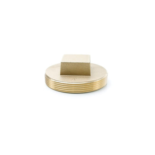 Raised Head Cleanout Plug, 4 in, Brass