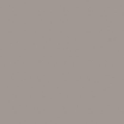 Color Story Wall Matte Dependable Rectangle 2X8 Matte