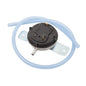 Fan Prover Switch