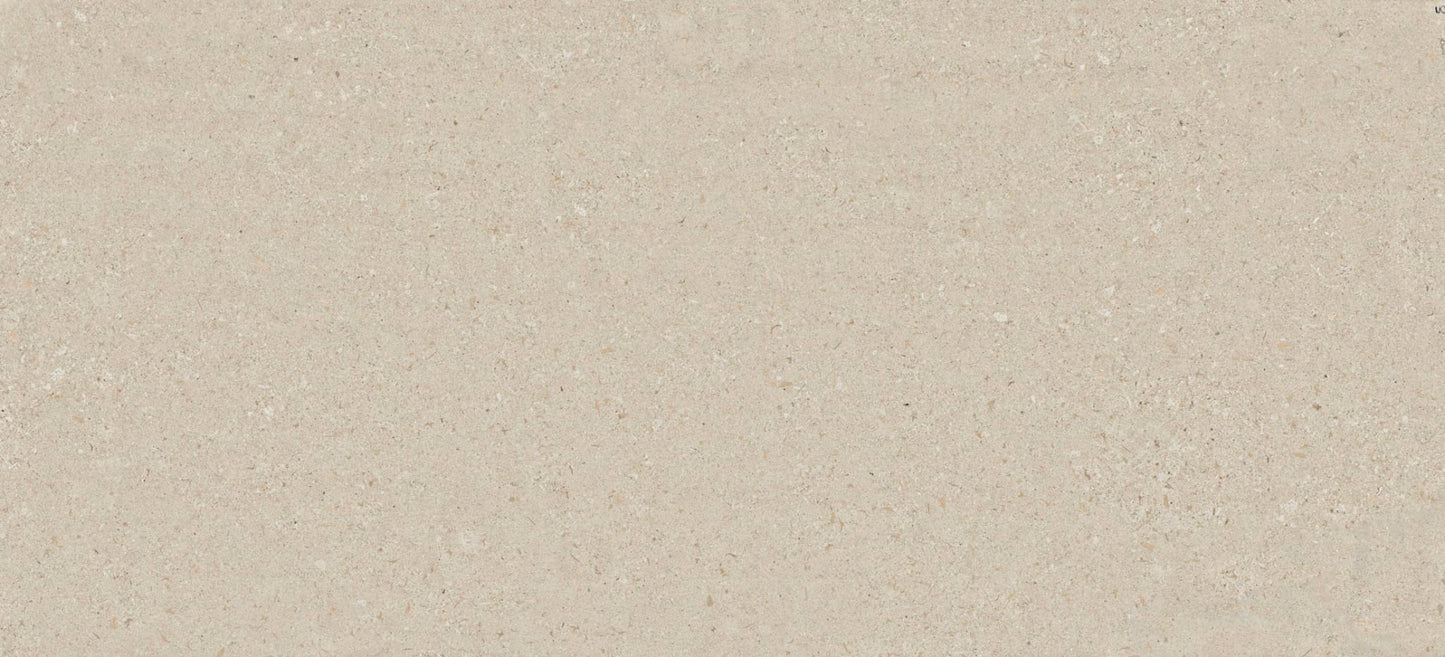 Avorio
