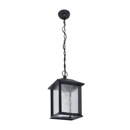 Ashton 1-Light Black Outdoor Pendant Light with Clear Seeded Glass