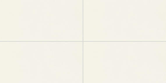 Pure Frost White Rectangle 12X24 Matte