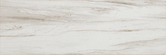 Platinum Calacatta Sky Rectangle 4X12 Matte
