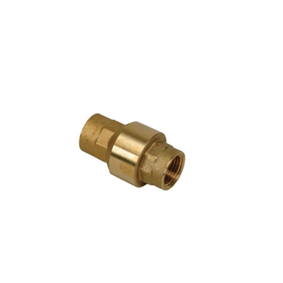 1/2" Spring Check Valve