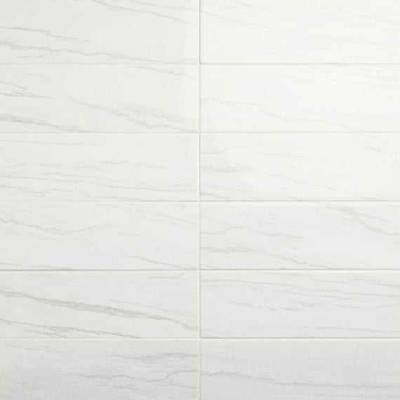 Platinum Oyster Rectangle 12X24 Matte