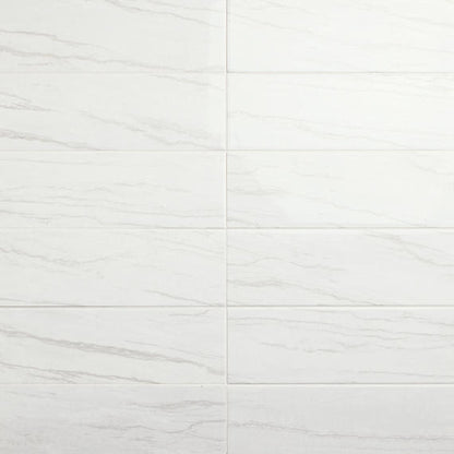 Platinum Oyster Rectangle 6X18 Glossy