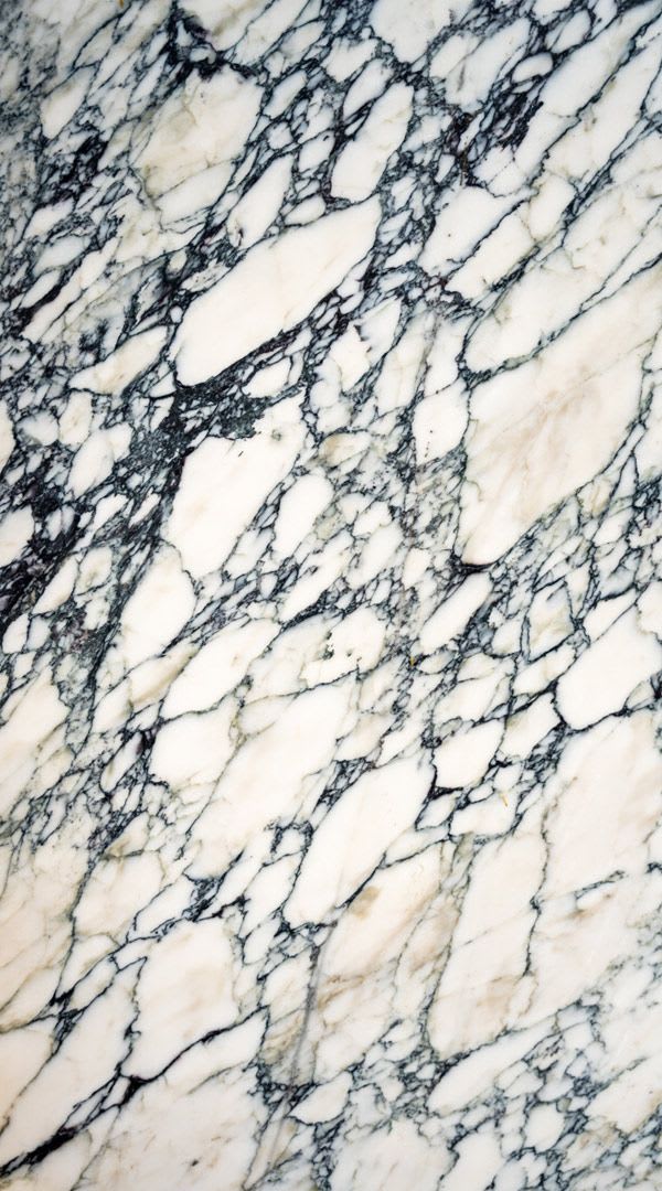 Calacatta Paonazzo Black