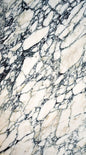 Calacatta Paonazzo Black
