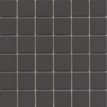 SOURCE BLACK MT 2X2/MO