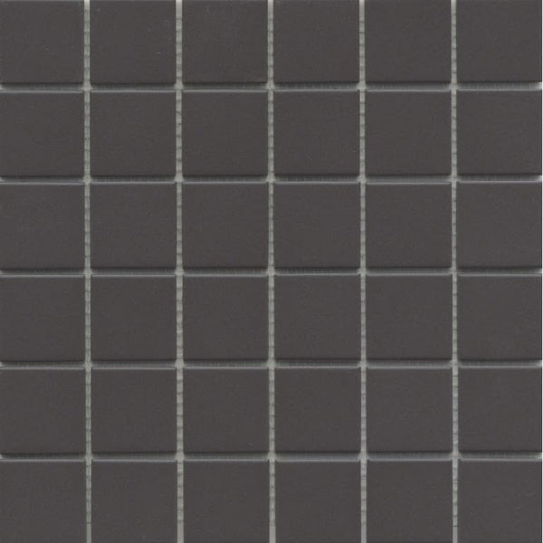 SOURCE BLACK MT 2X2/MO