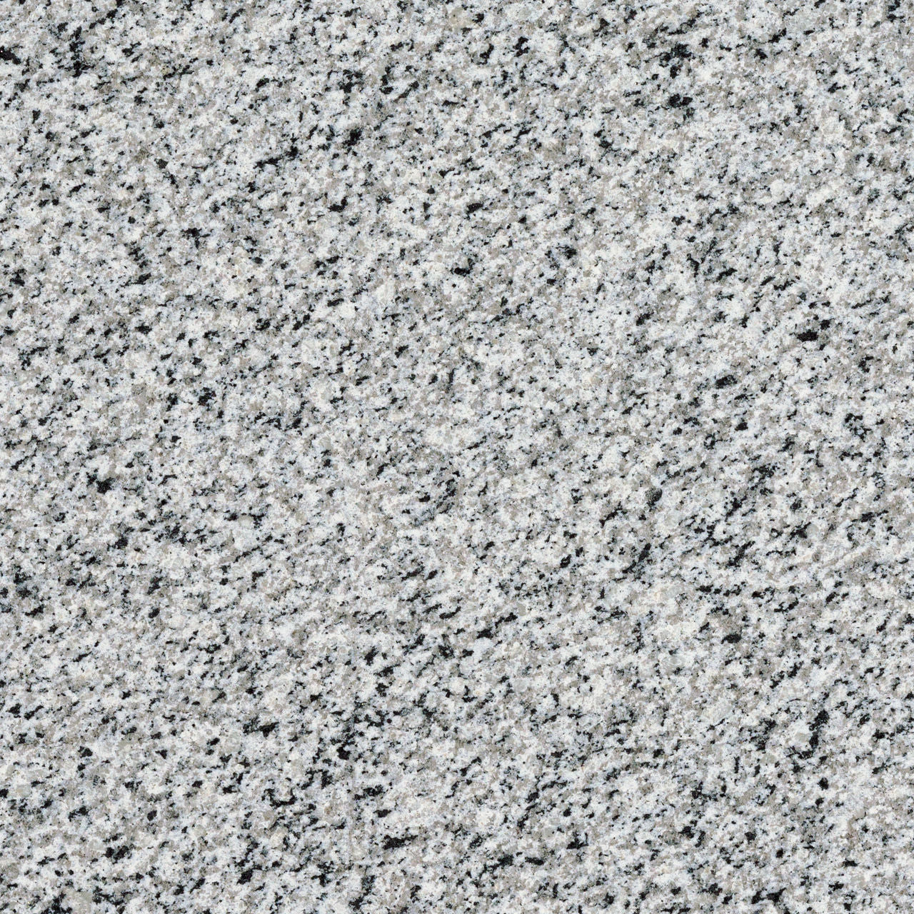 Bengal White