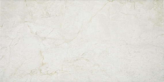 Platinum Alabaster Rectangle 12X24 Matte