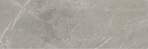 Platinum Dove Rectangle 12X24 Matte