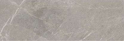 Platinum Dove Rectangle 12X24 Matte
