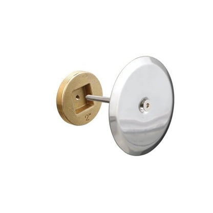 Cleanout Plug With Cover, 2 in Outlet, MNPT, 4 in Cover, Round, Stainless Steel