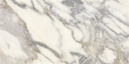 Eclessia Marble Arabescato Argento Rectangle 12X24 Polished