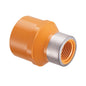 FlameGuard® Adapter, 1 x 3/4 in, Socket x Special Reinforced FNPT, CPVC