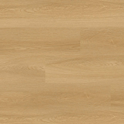 NOVE RESERVE BAYSIDE BUFF 9X48