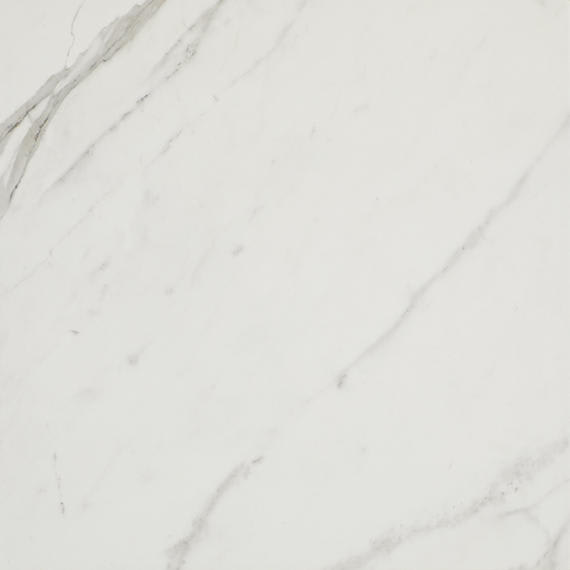 Platinum Calacatta Empire Square 12X12 Matte