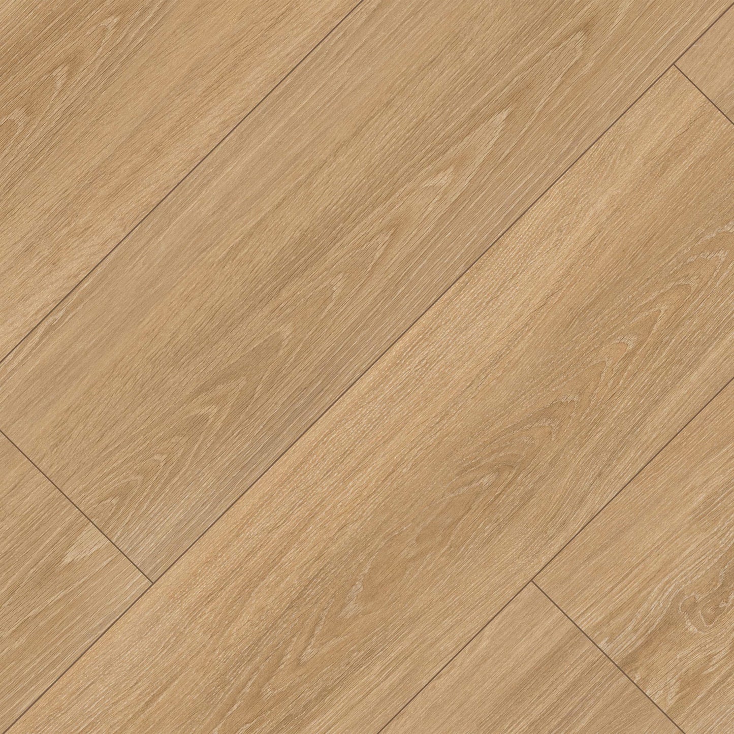 Placero Timber