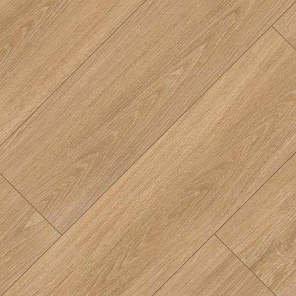 Placero Timber