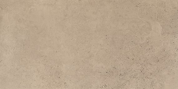 Modern Formation Canyon Taupe Rectangle 12X24 Polished