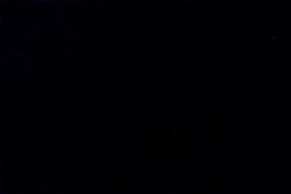 Acadia Black