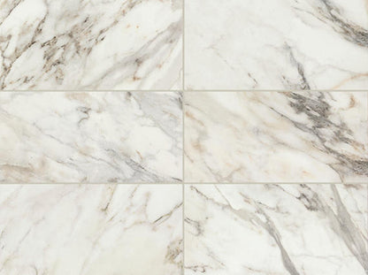 Savoir Cafe Rectangle 24X48 Polished
