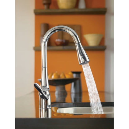 Arbor Single Handle Pulldown Spray Kitchen Faucet with Reflex Technology