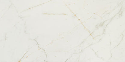 Panoramic Duet Diamond Mine Rectangle 24X48 Matte