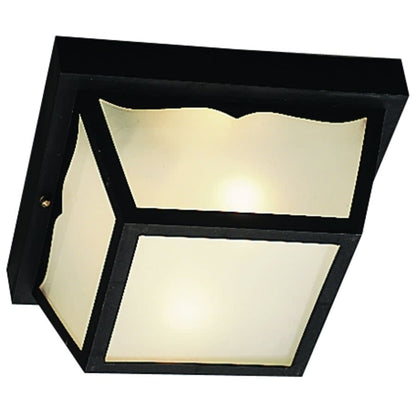 2 Light Outdoor Ceiling Fixture