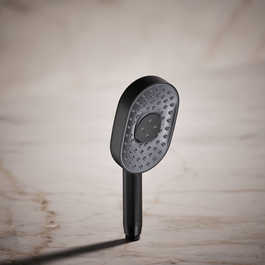 Statement 2.5 GPM Multi Function Hand Shower with MasterClean Sprayface